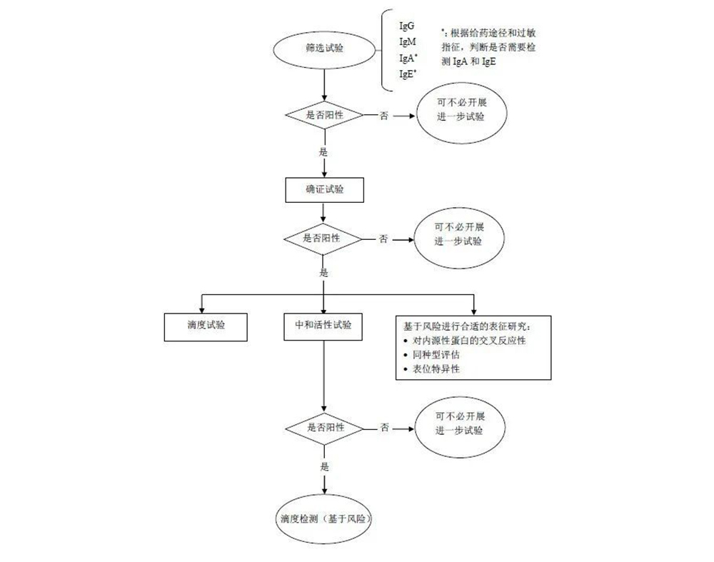 治疗性蛋白-07.jpg