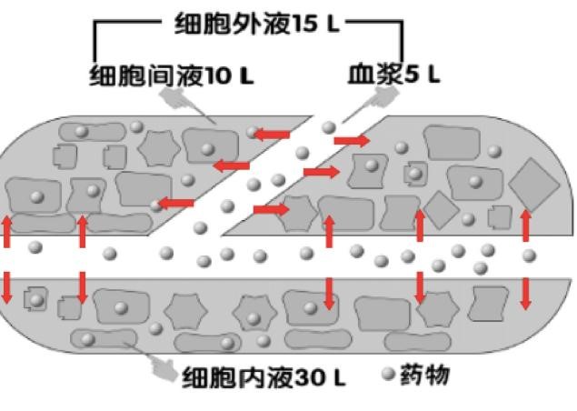 PK参数三角关系-10.jpg