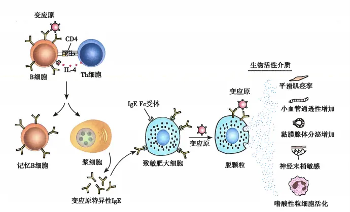 图片31.png